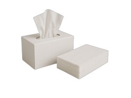 Taschentücher - Papiertaschentücher für Gewerbe &amp; Hotellerie