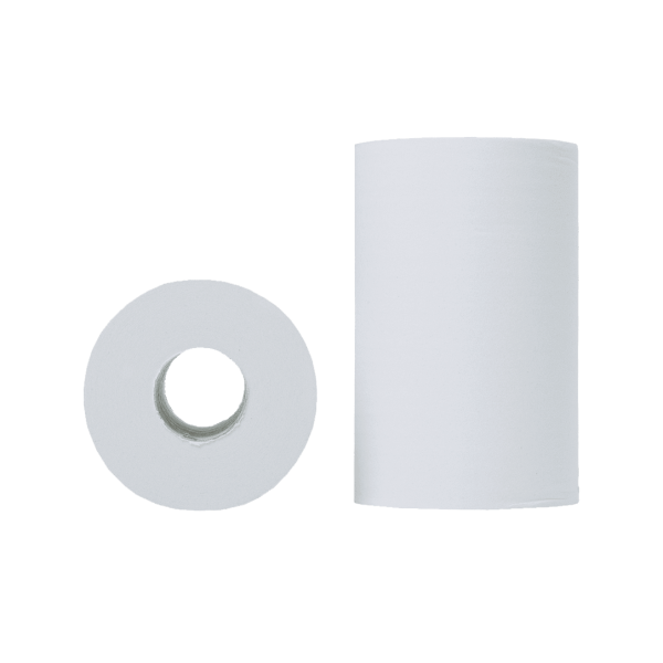 miniROLLE H2 – Putzpapierrolle 2-lagig Zellstoff, 12 Rollen à 49 m