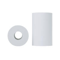 miniROLLE H2 – Putzpapierrolle 2-lagig Zellstoff,...